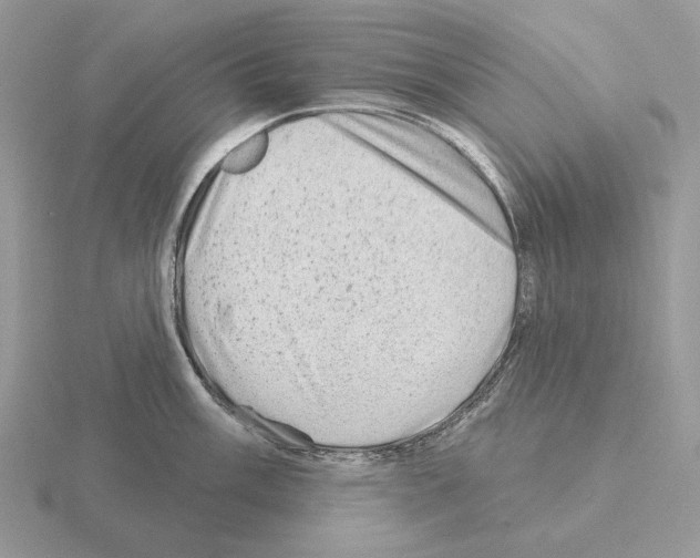 X0000115381003200912151435