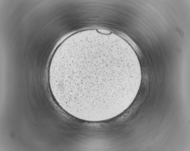 X0000115381004200912151435