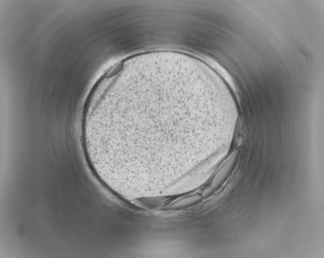 X0000115381005200912151435