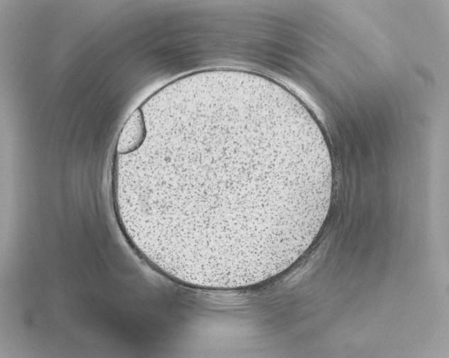 X0000115381007200912151435