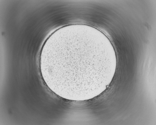 X0000115381008200912151435