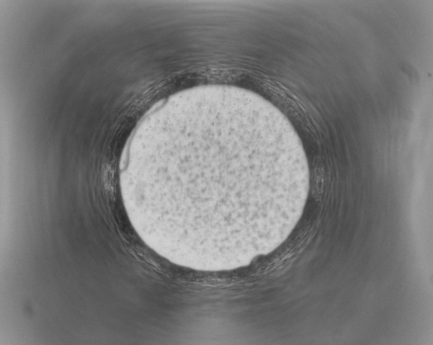 X0000115381010200912151434