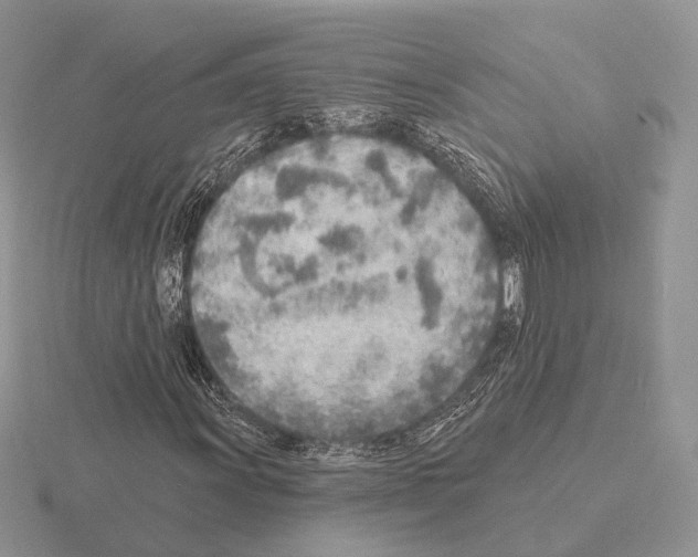 X0000115381011200912151434