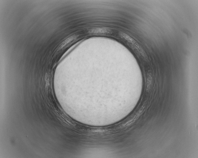 X0000115381017200912151435