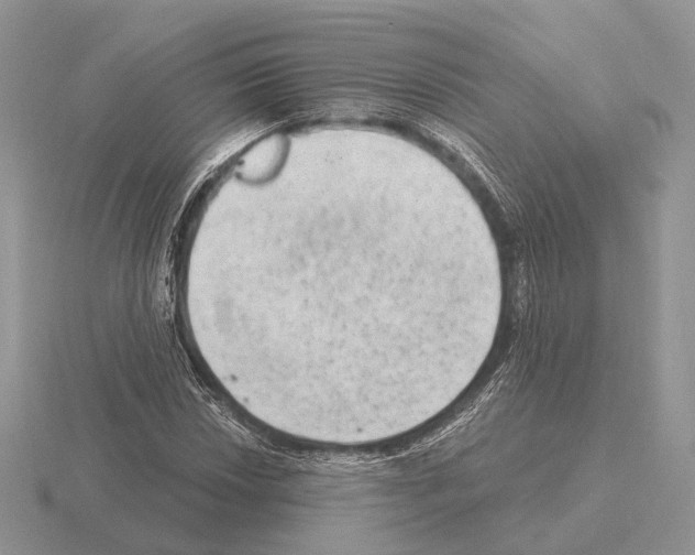 X0000115381018200912151435