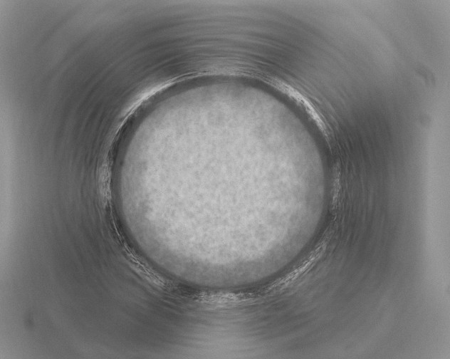 X0000115381019200912151435