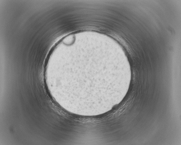 X0000115381020200912151435