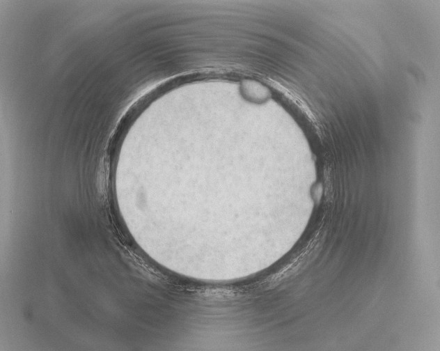 X0000115381021200912151435