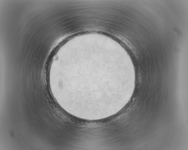 X0000115381022200912151435