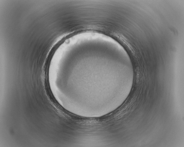 X0000115381024200912151435