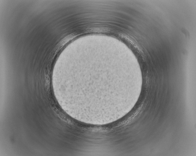 X0000115381025200912151435