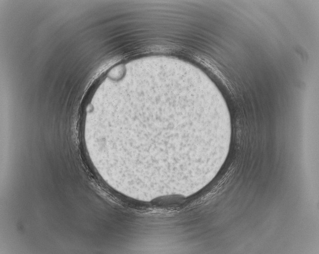 X0000115381026200912151435