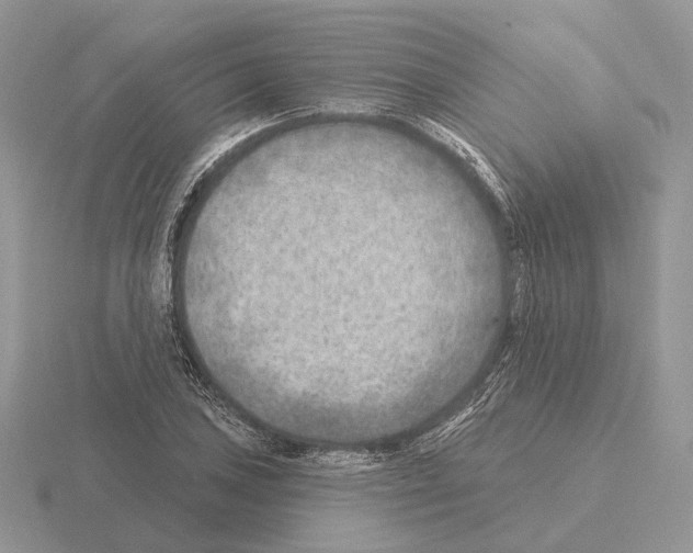 X0000115381027200912151435