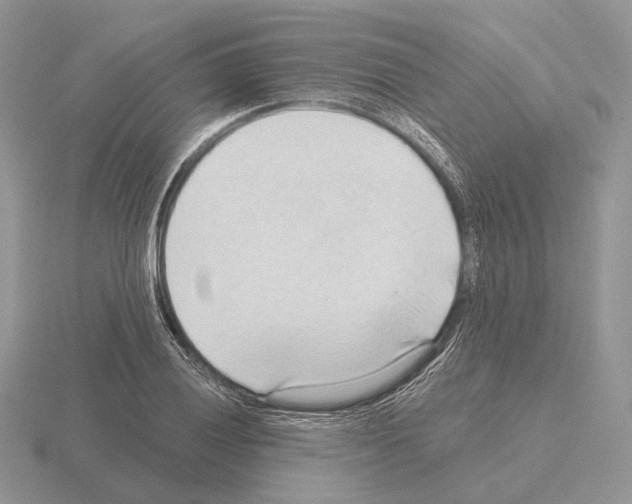 X0000115381028200912151435