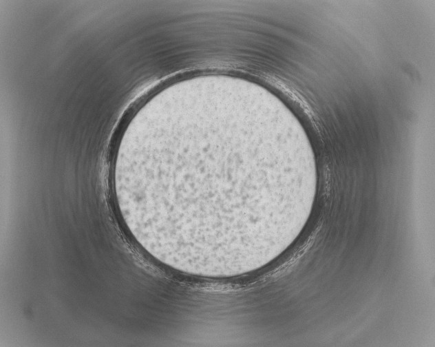 X0000115381029200912151435