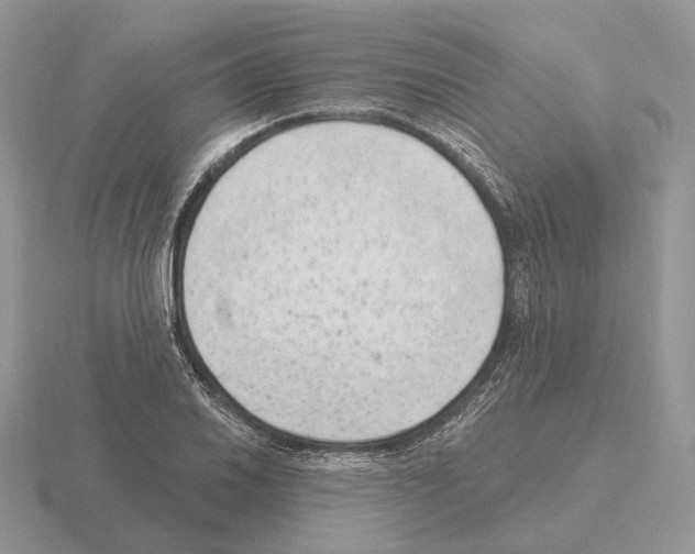 X0000115381030200912151435