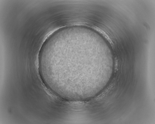 X0000115381031200912151435