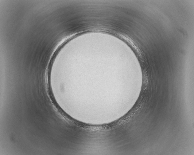 X0000115381032200912151435