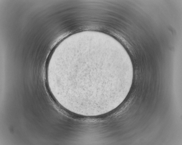 X0000115381034200912151435