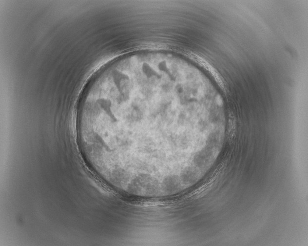 X0000115381035200912151435