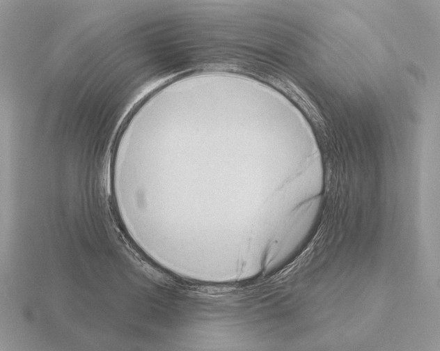 X0000115381036200912151435