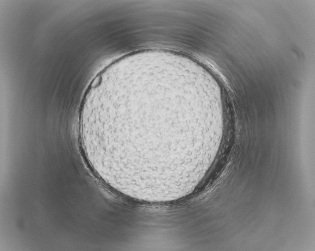 X0000115381040200912151435