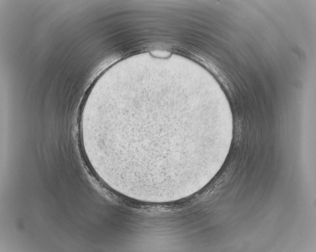 X0000115381042200912151435