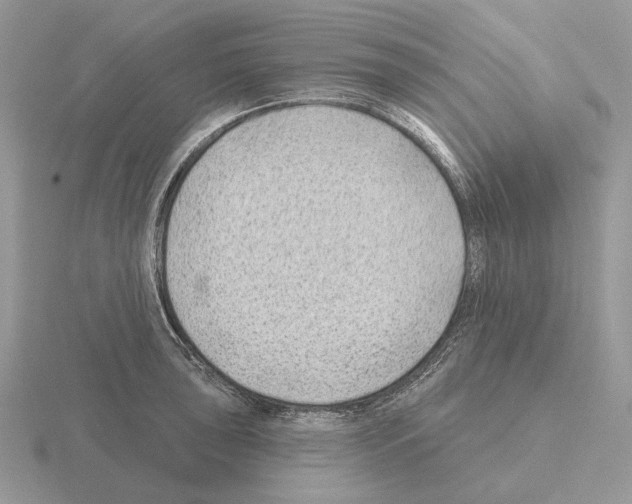 X0000115381043200912151435