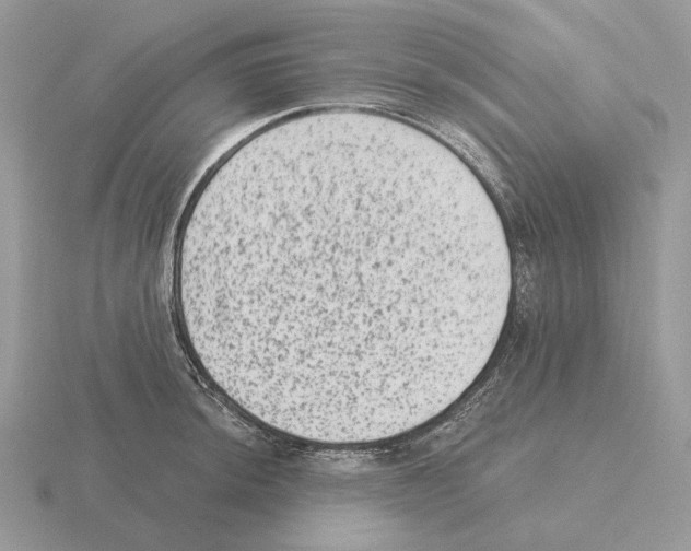 X0000115381044200912151435