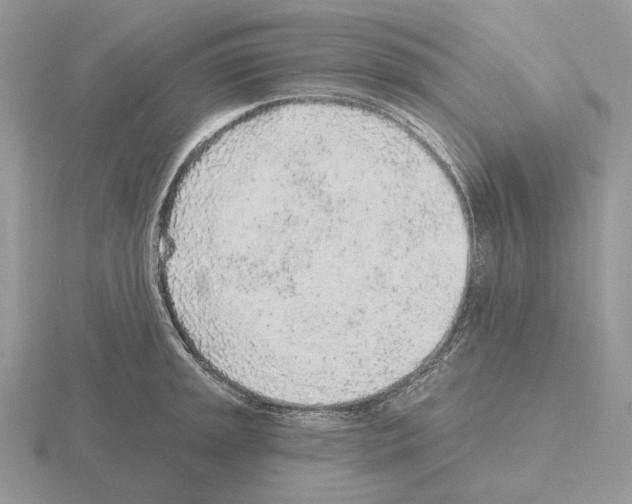 X0000115381045200912151435