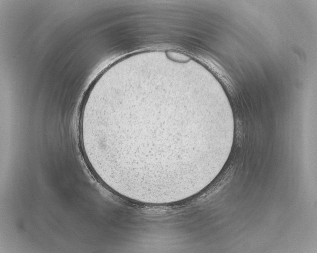 X0000115381046200912151435