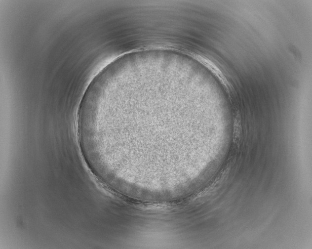 X0000115381047200912151435