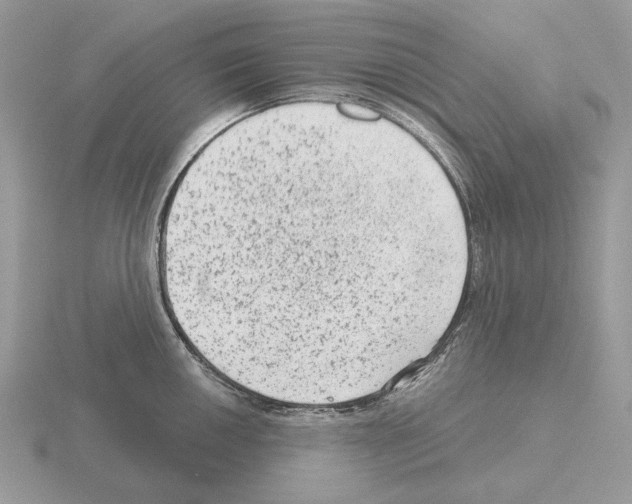 X0000115381050200912151435