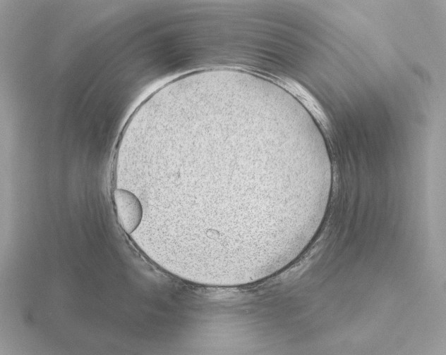 X0000115381052200912151435