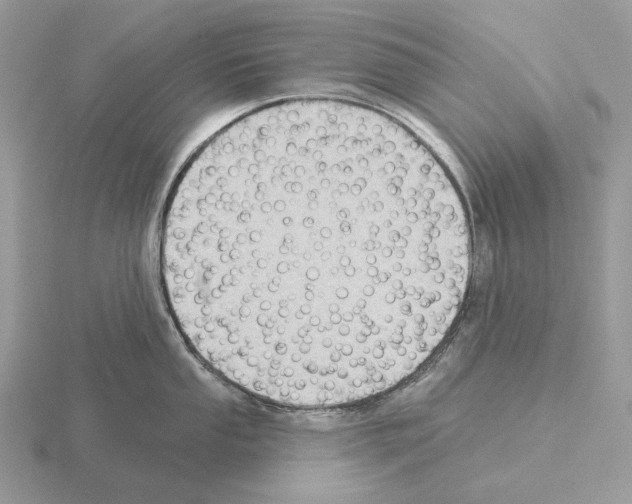 X0000115381053200912151435