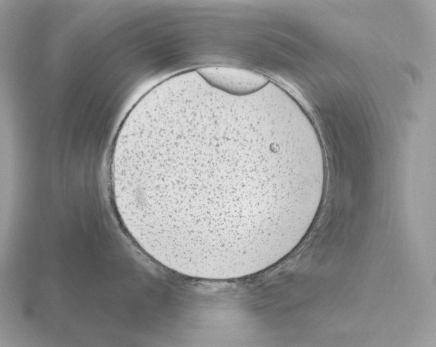 X0000115381056200912151435