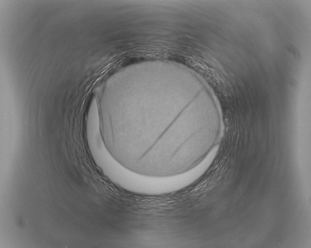 X0000115381057200912151434