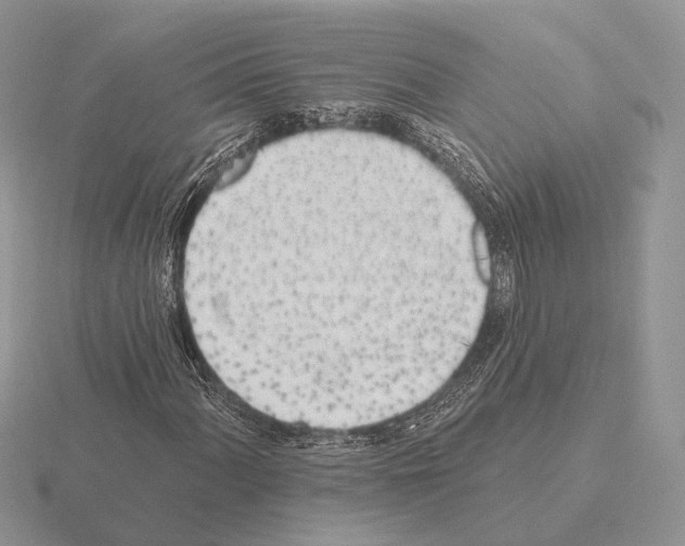 X0000115381060200912151434