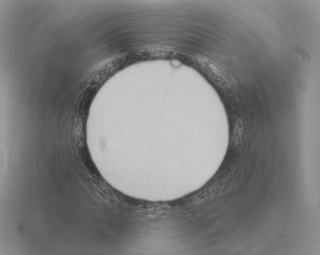 X0000115381062200912151434