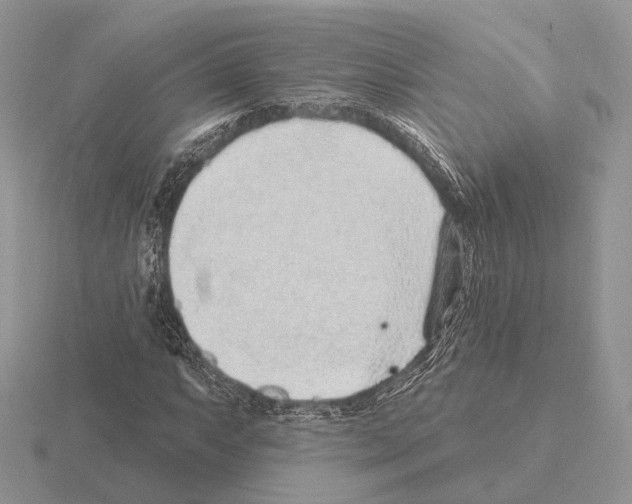 X0000115381063200912151434