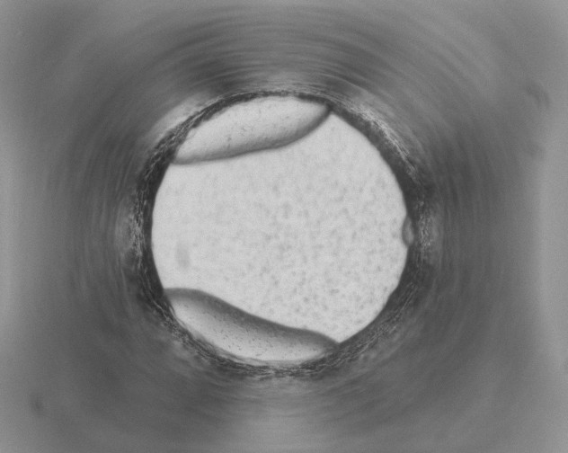 X0000115381064200912151434