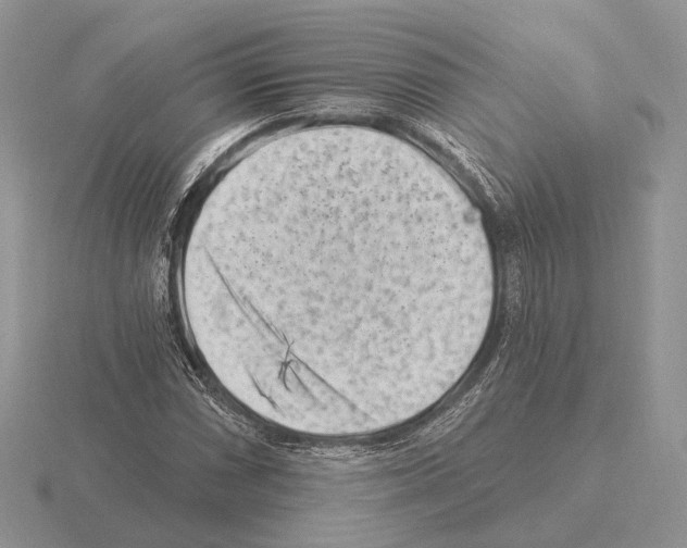 X0000115381066200912151434