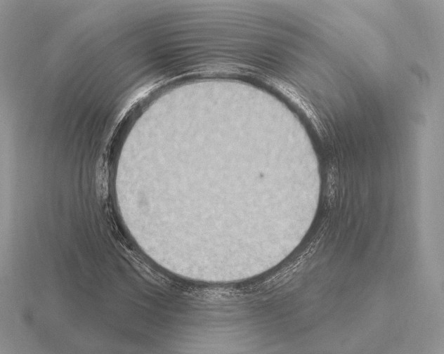 X0000115381067200912151434