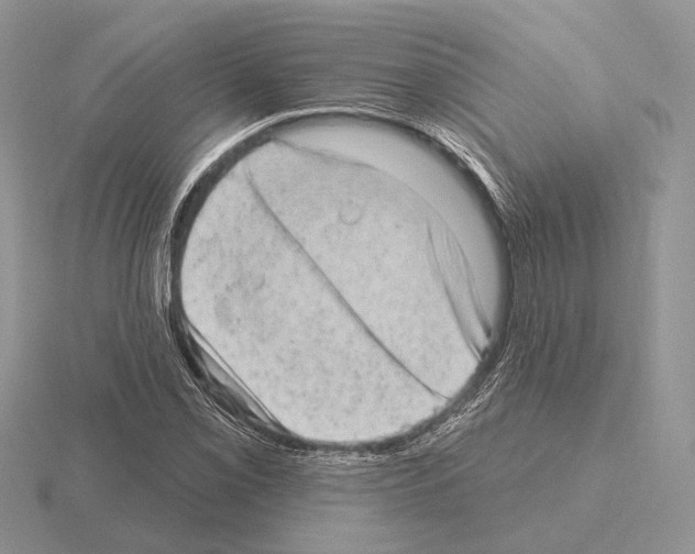 X0000115381069200912151434