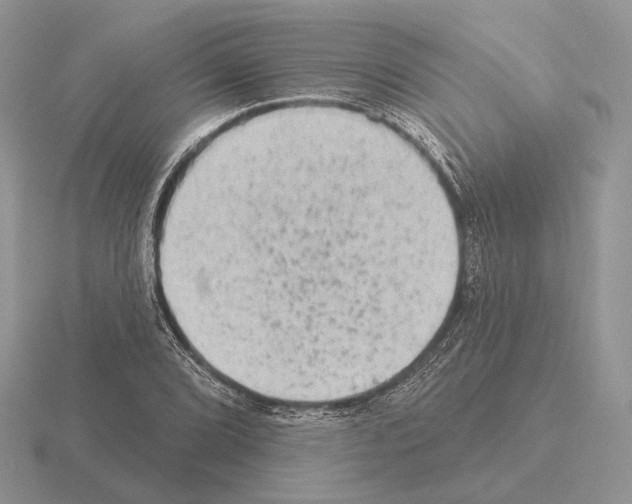 X0000115381072200912151434