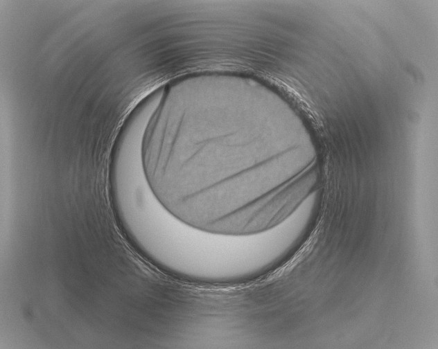 X0000115381073200912151434