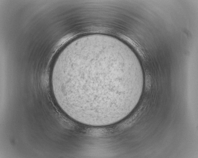 X0000115381074200912151434