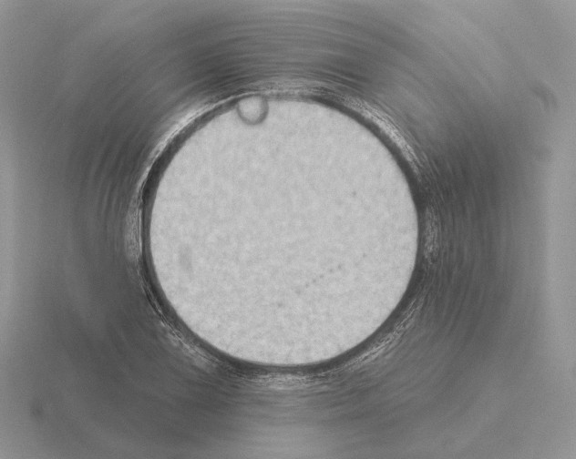 X0000115381075200912151434