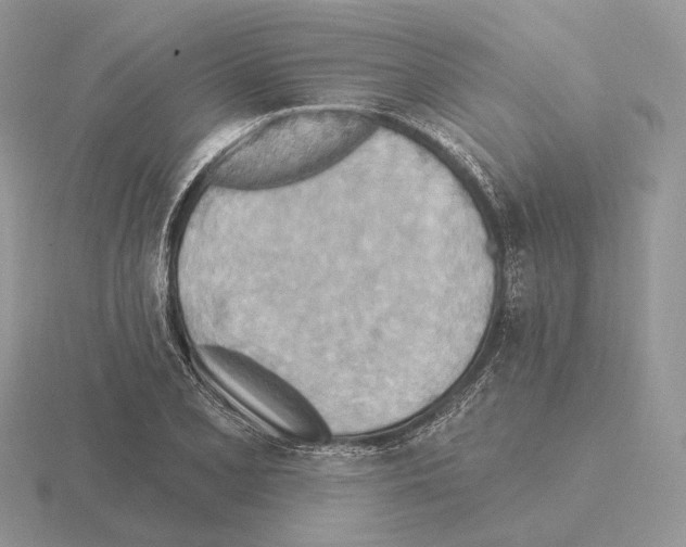 X0000115381077200912151434