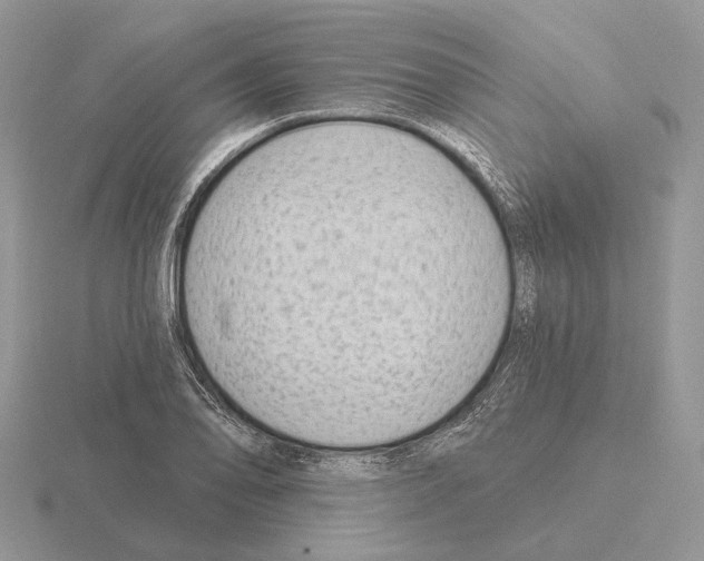 X0000115381078200912151434